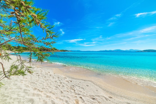 Plage de La Celvia au printemps Sardaigne