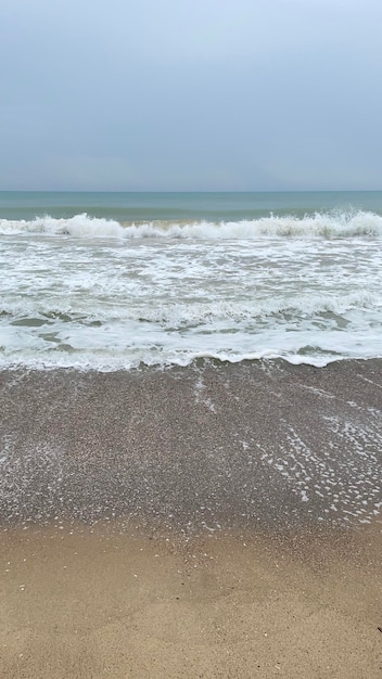 Une plage avec un ciel bleu et une vague blanche