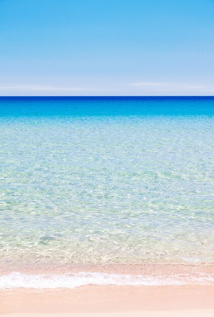 Plage colorée et fond d'océan calme