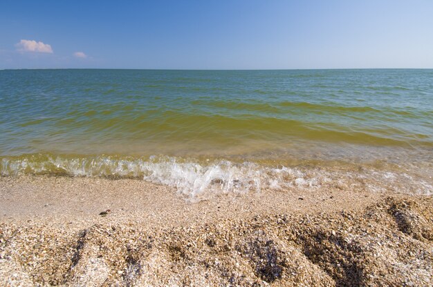 Plage de coquillages