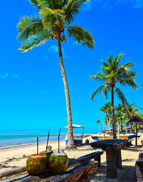 Plage de Coroa Vermelha à Porto Seguro, Bahia - Tourisme et destinations au nord-est du Brésil - Attraction touristique, guide de voyage pour le Brésil