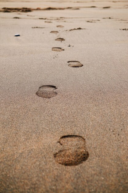 La plage sur la cote