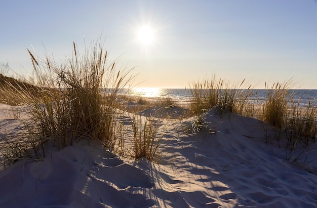 Photo une plage avec des dunes de sable et le soleil qui brille à l'horizon