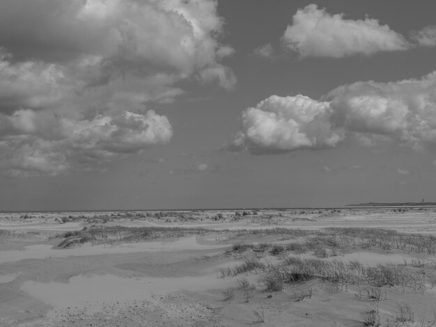 plage et dunes