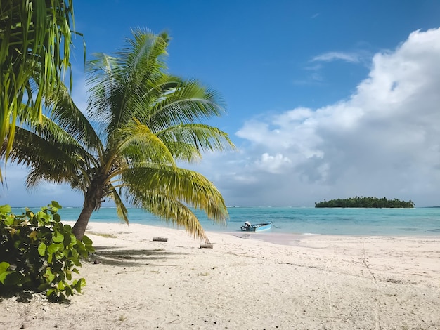 Photo plage d'eau de mer cristalline de l'île de tikehau polynésie