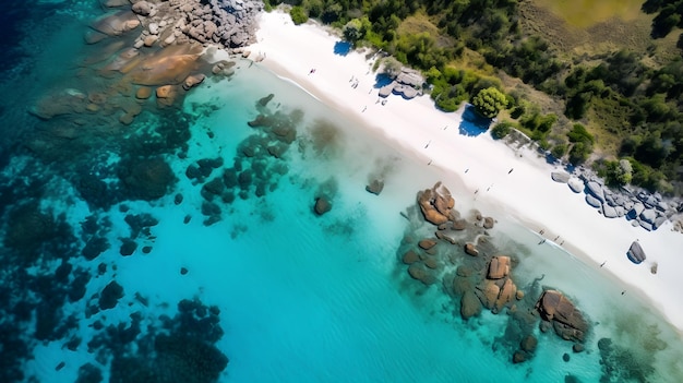 Une plage avec une eau turquoise et des rochers au premier plan.