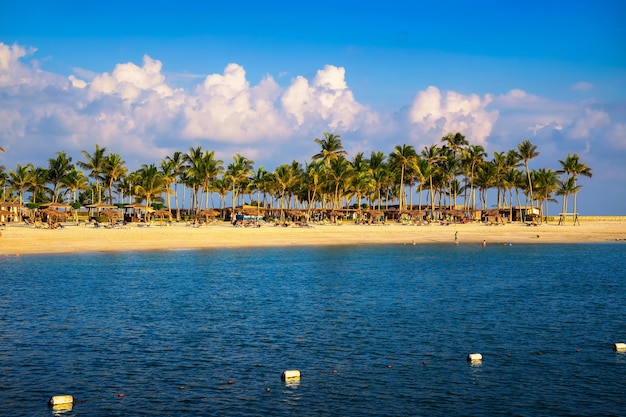 Plage ensoleillée avec palmiers parapluies et touristes à salalah oman