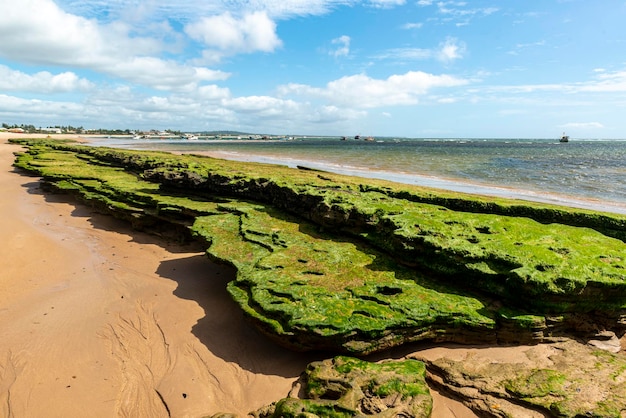 Plage d'Espera Itacimirim Bahia Brésil.