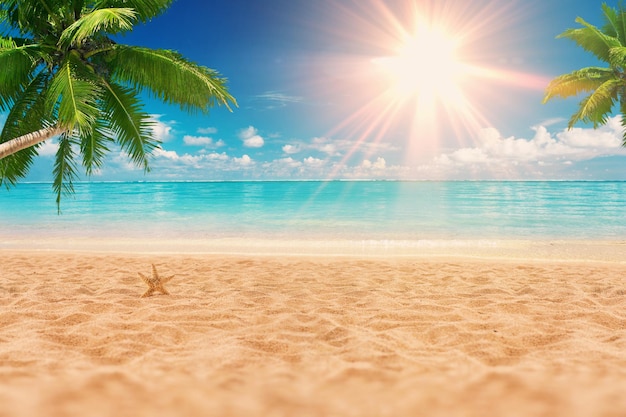 Plage exotique ensoleillée au bord de l'océan avec des palmiers au coucher du soleil Vacances d'été au bord de la mer