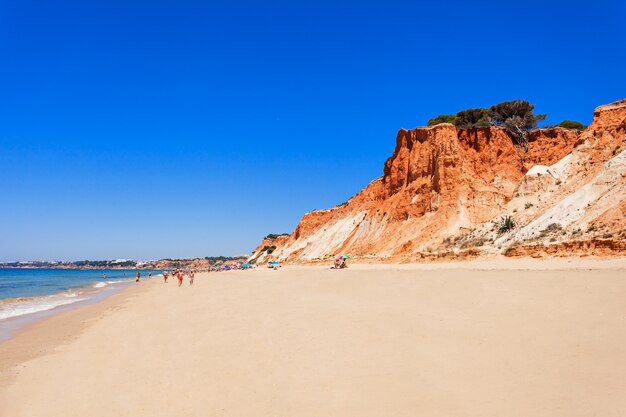 Plage de Falesia