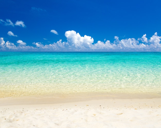 Plage et fond d'horizon de mer tropicale