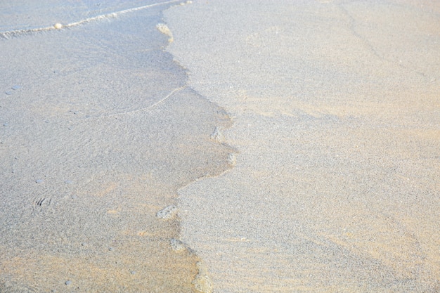 Plage avec fond