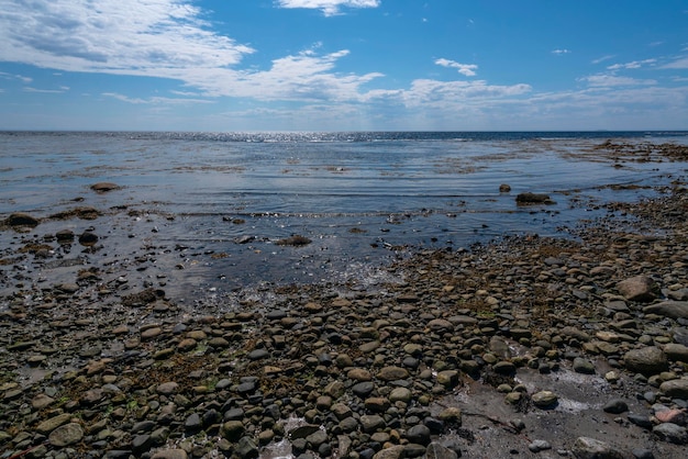 La plage de galets sur l'île Solovetsky Cap Pechak Mer Blanche Région d'Arkhangelsk Russie