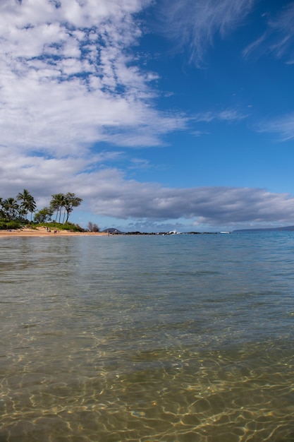 Plage à Hawaï Paysage de rêve Paradis Plage ensoleillée avec mer turquoise Vacances d'été et concept de plage tropicale