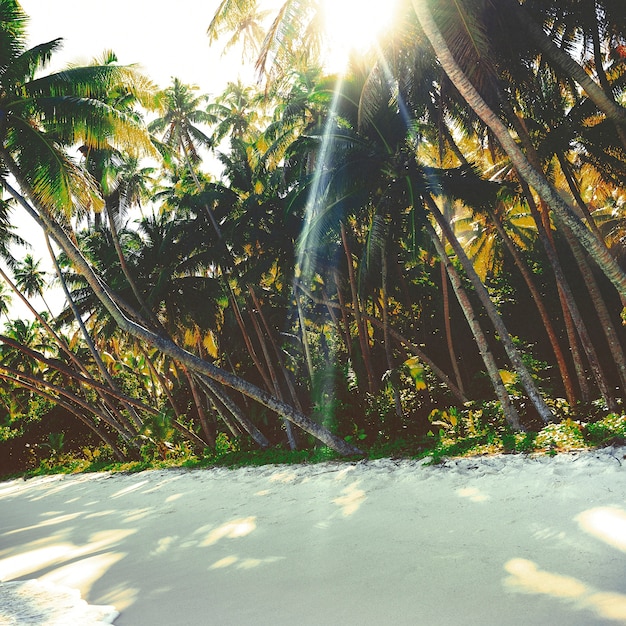 Photo plage idyllique littoral tranquille solitude nature concept