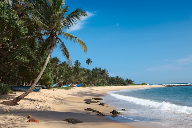 Plage idyllique Sri Lanka