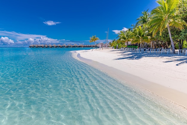 Plage de l'île des Maldives. Paysage tropical de vacances d'été, sable blanc avec ciel ensoleillé de palmiers