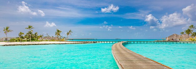 Photo plage de l'île des maldives plage de lagon de l'océan long sentier de la jetée en bois palmiers vacances tropicales