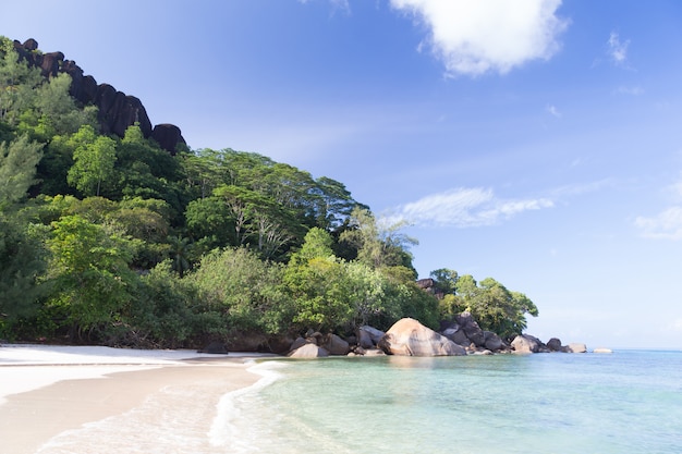 Photo une plage sur l'île des seychelles avec du sable blanc et des pierres