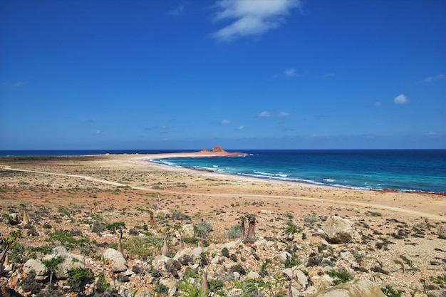 La plage sur l'île de Socotra au Yémen de l'océan Indien