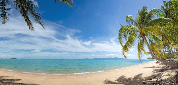 Plage de l'île tropicale