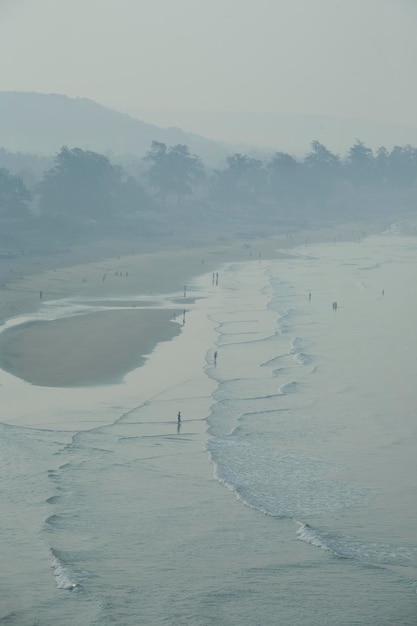 Plage indienne tropicale