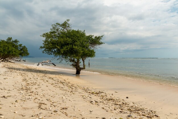 Plage indonésienne vide