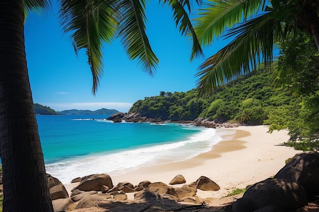 Photo une plage isolée avec des bassins de marée pleins de créatures marines colorées