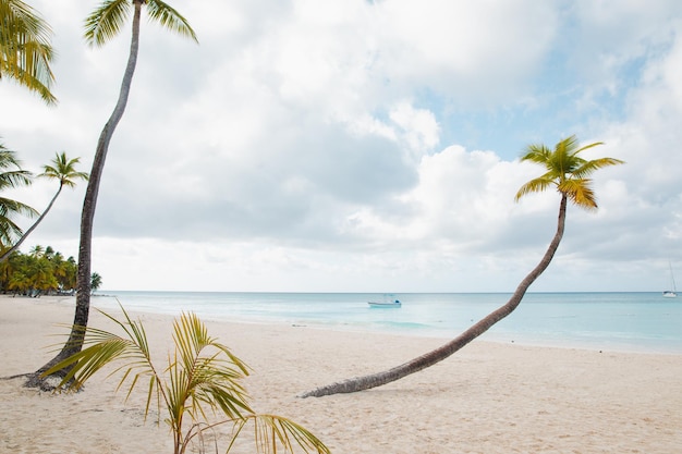 Plage isolée sur l'île de Saona La Romana République Dominicaine