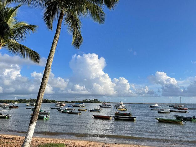 Plage d'Itacare Bahia Brésil Village avec bateaux de pêche et végétation