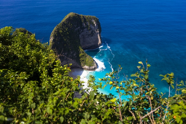 Plage de Kelingking sur l&#39;île de Nusa Penida en Indonésie