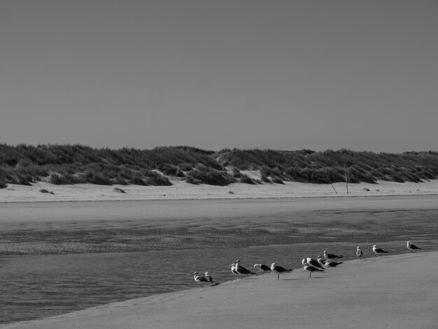 Photo la plage de langeoog