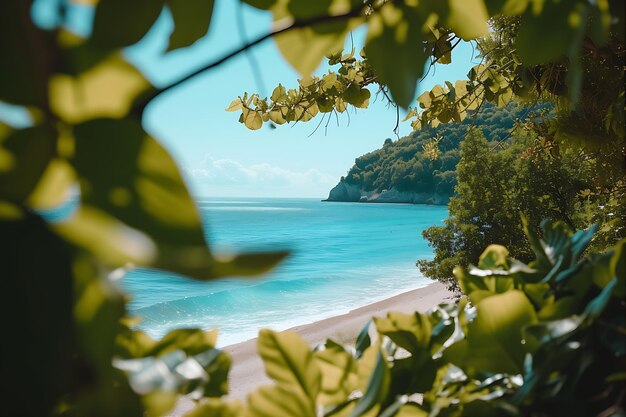 Une plage magnifique et luxuriante