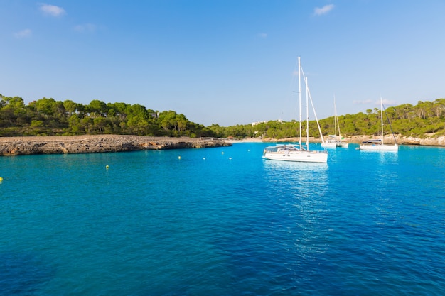 Plage de Majorque Amarador à Mondrago