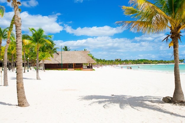 Plage des Maldives