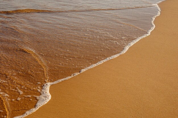 Plage le matin Sable sur la plage avec une vague de mer