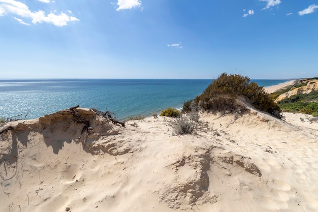 Plage de Mazagon dans la province de Huelva Espagne L'une des plus belles plages d'Espagne