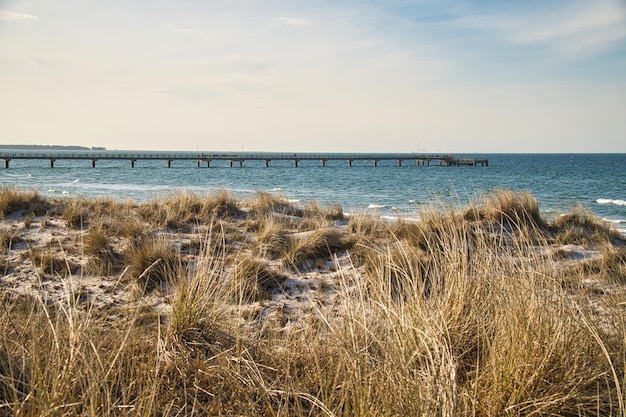 Sur la plage de la mer baltique avec nuages dunes et plage Randonnée au printemps