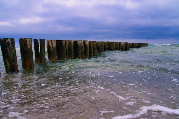 Sur la plage de la mer Baltique en zingst vue sur la mer avec épi Paysage