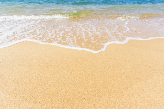 plage de la mer en été