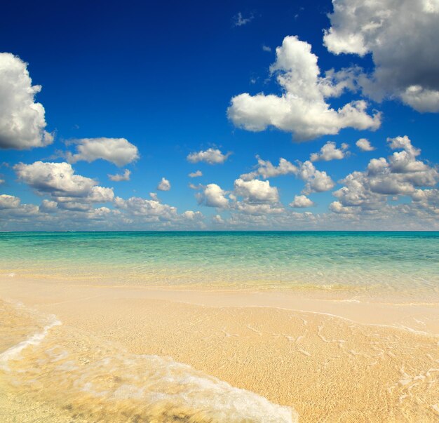 Plage de mer de sable blanc