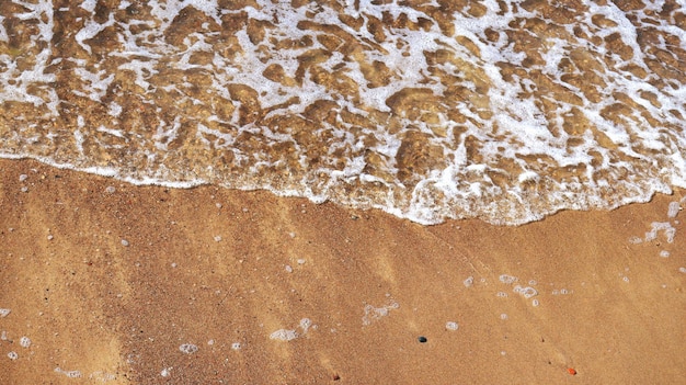 Plage de la mer de sable