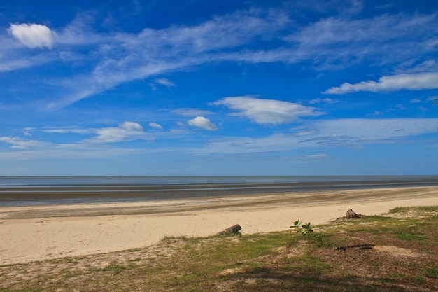 plage et mer tropicale en été