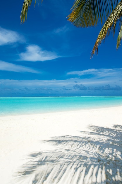 Plage et mer tropicale. fond de la nature