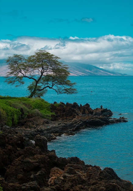 Photo plage et mer tropicale. fond de paysage nature océan.