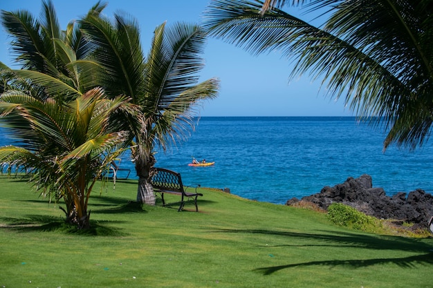 Plage de la mer tropicale avec des palmiers de l'océan de sable feuilles de palmiers et fond de plage d'été ciel bleu