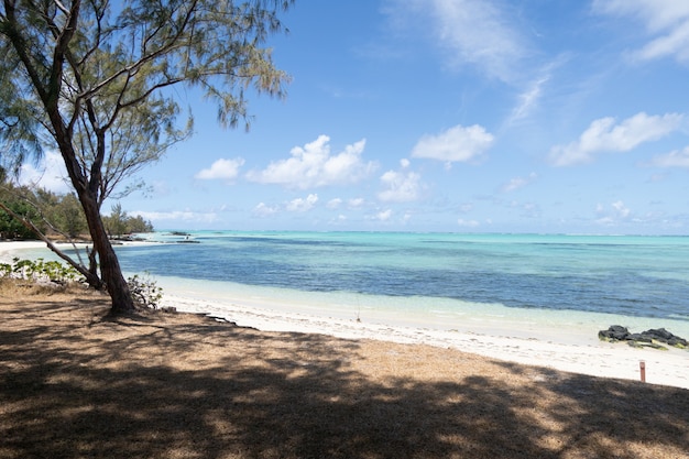 Plage de la mer tropicale sous le ciel bleu