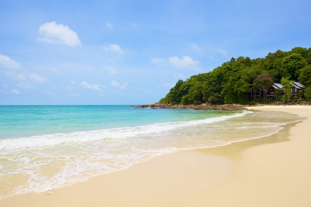 Plage et mer tropicale sous le ciel bleu