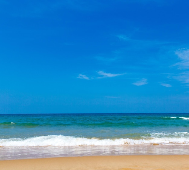 La plage et la mer tropicale