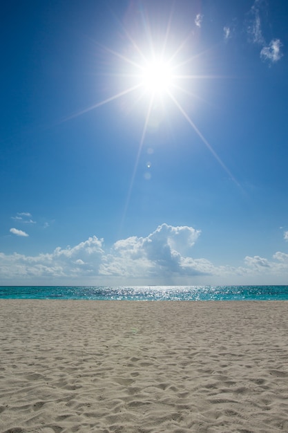 Photo plage et mer tropicale